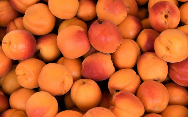 apricot