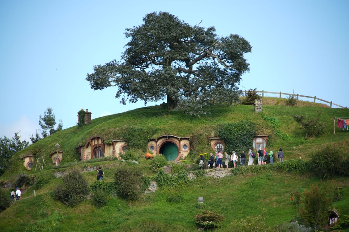 The Fake Tree That Sit On Bilbo'S House