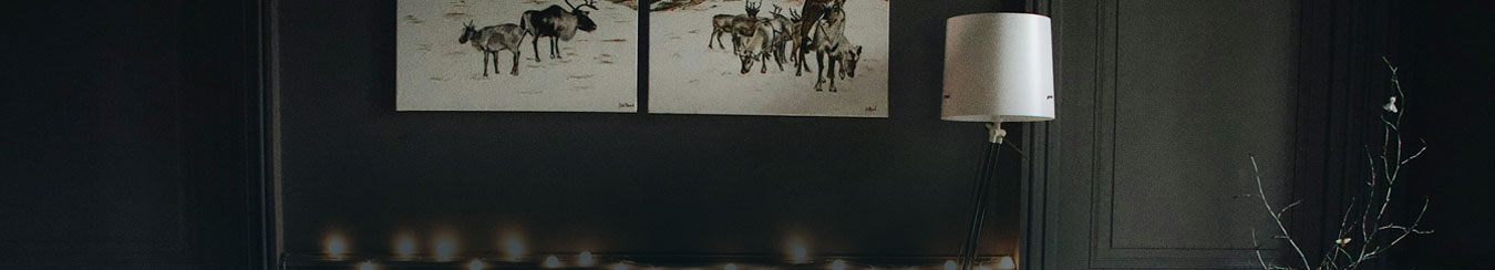 Package Banner