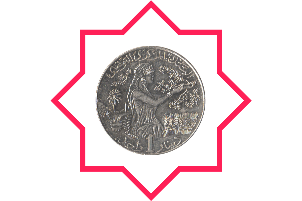 Tunisian Dinar Pattern