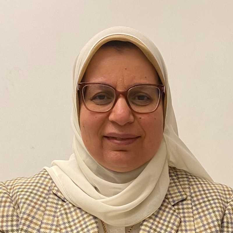 Aida Elsabban, Ph.D., SMIEEE