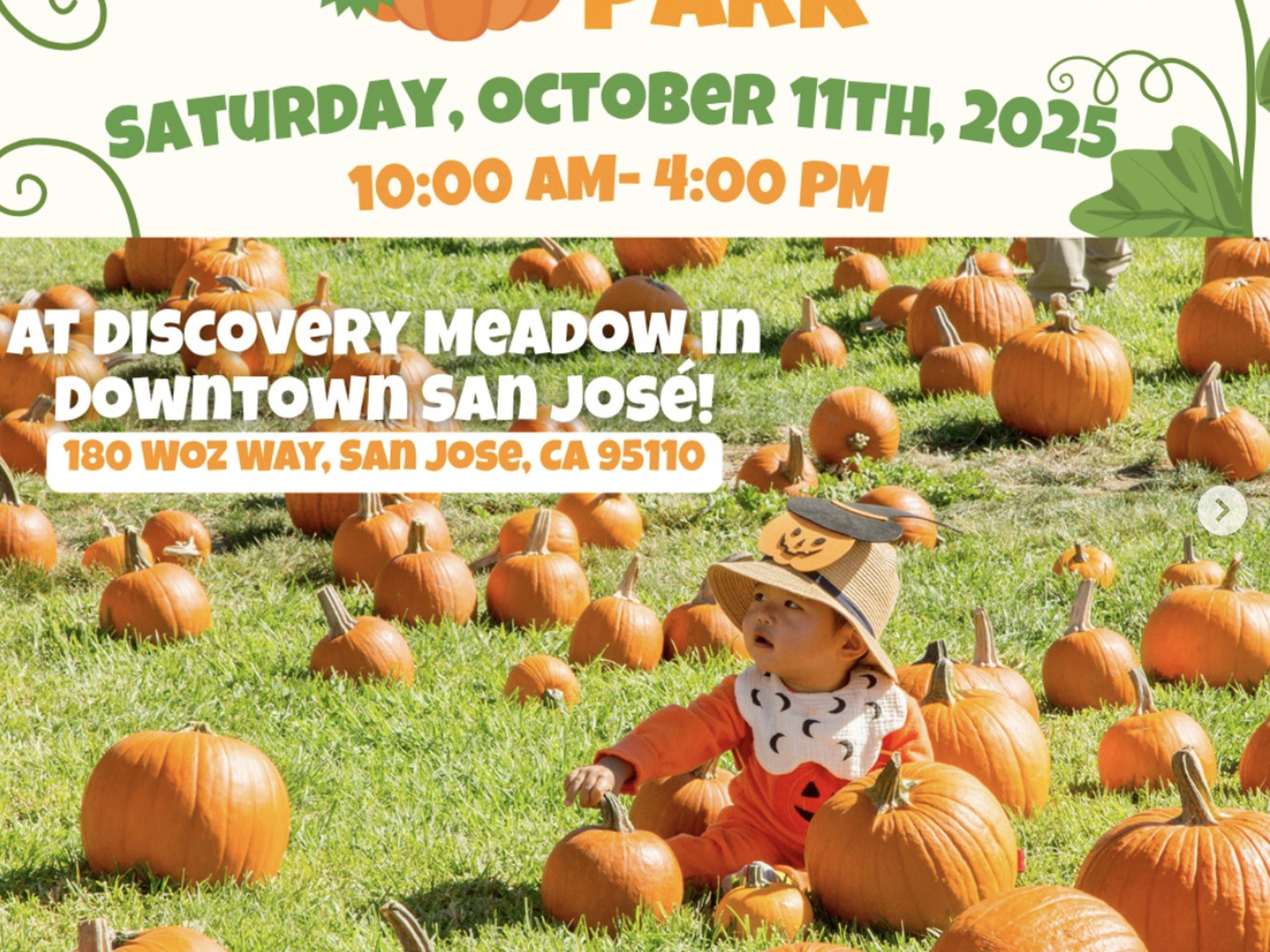 Pumpkins in the Park (San Jose)