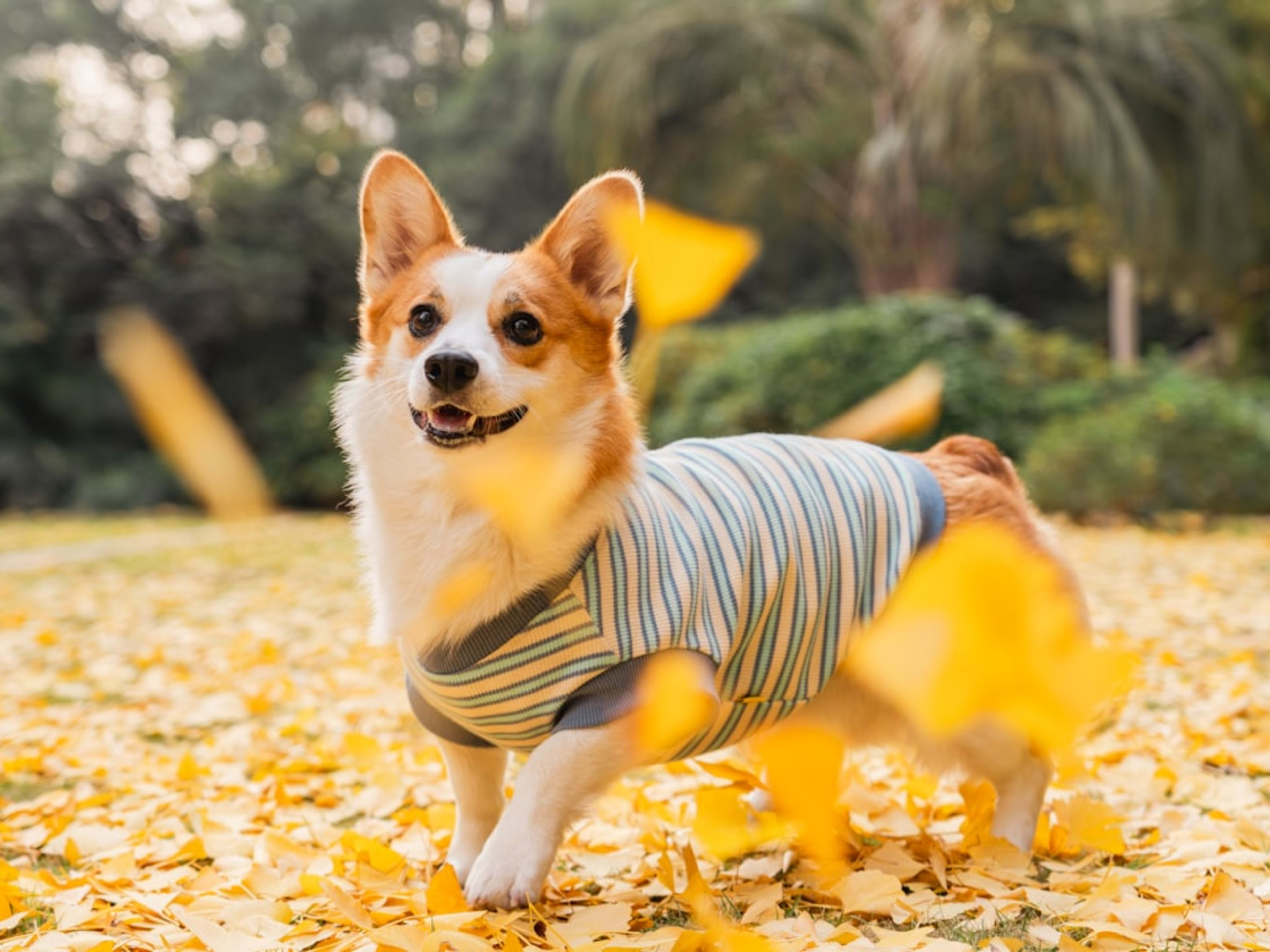 Wee Play: Drop-In Playtime
