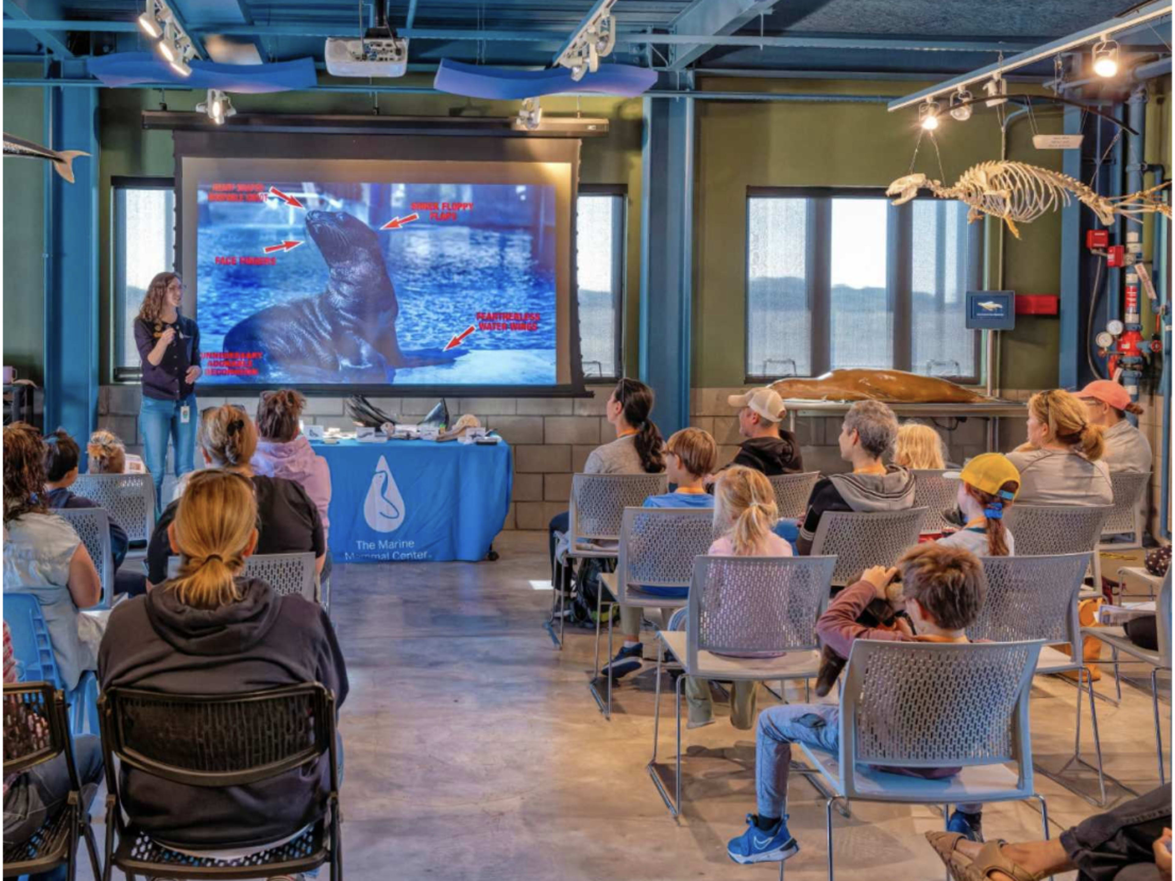 Marine Mammal Sunday 