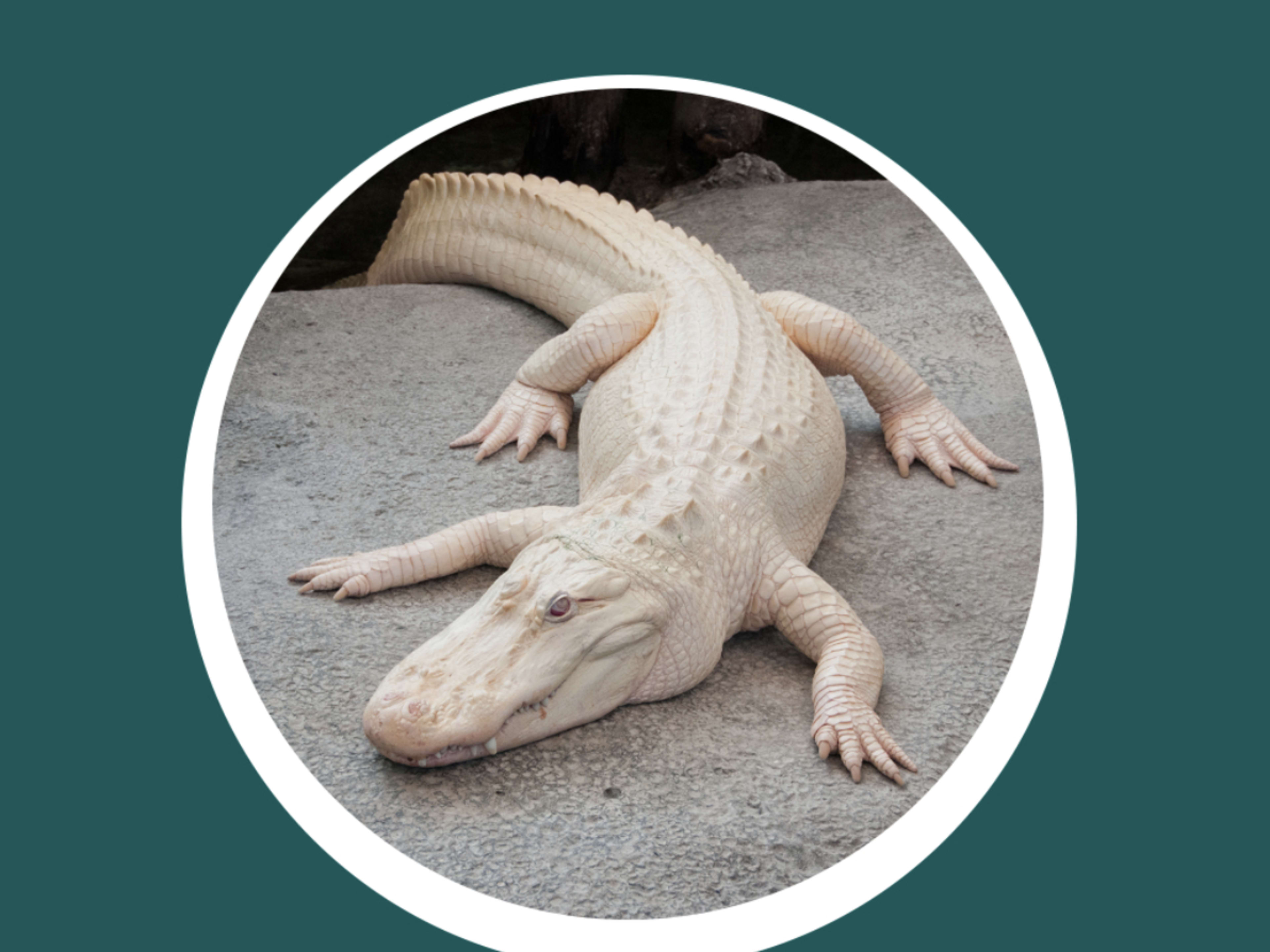 Claude Forever: A Celebration of Life 