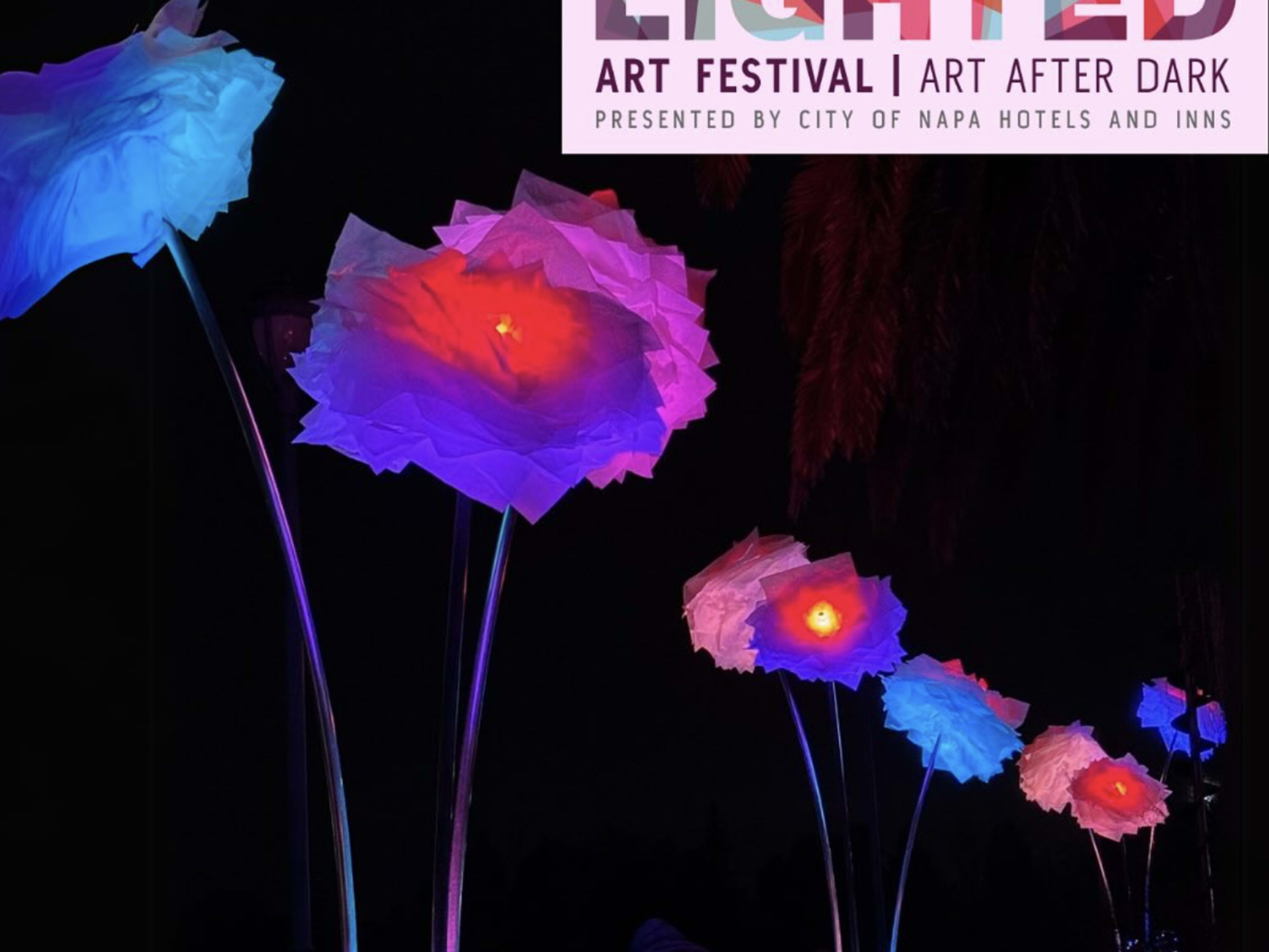 Napa Lighted Art Festival 