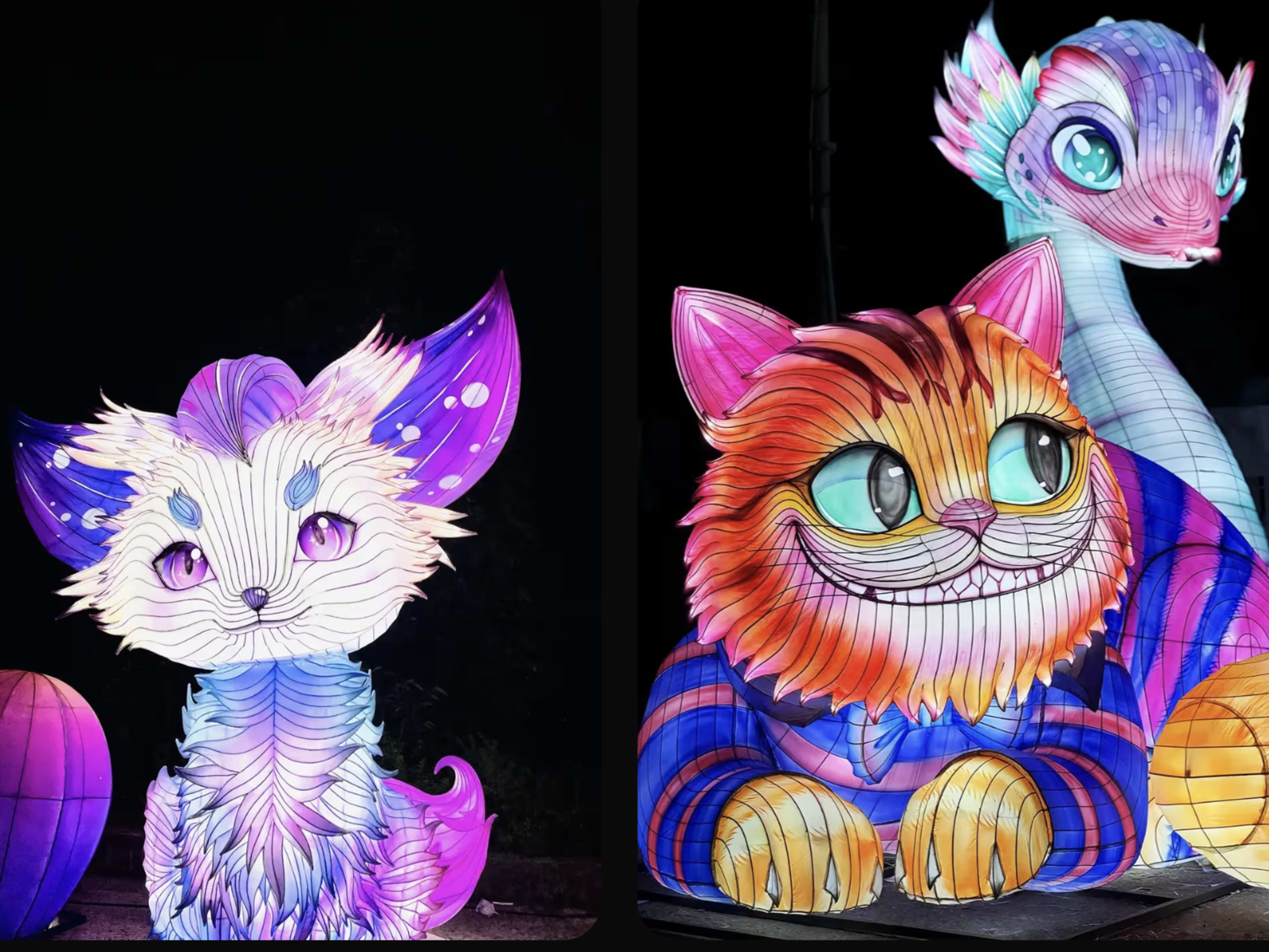 San Jose Holiday Lights **DISCOUNT CODE: JENINE10 ** 