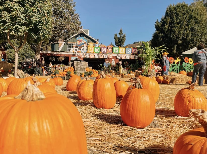 Lemos Farm Opening Weekend  in Half Moon Bay  — Bay Area family event