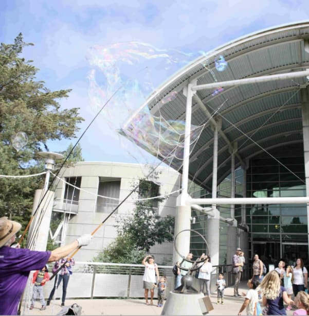 Bubblefest in Oakland — Bay Area family event