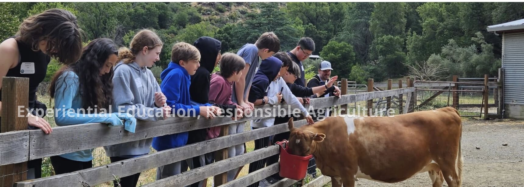 Weekend Farm Tours at Hidden Villa — Bay Area family event