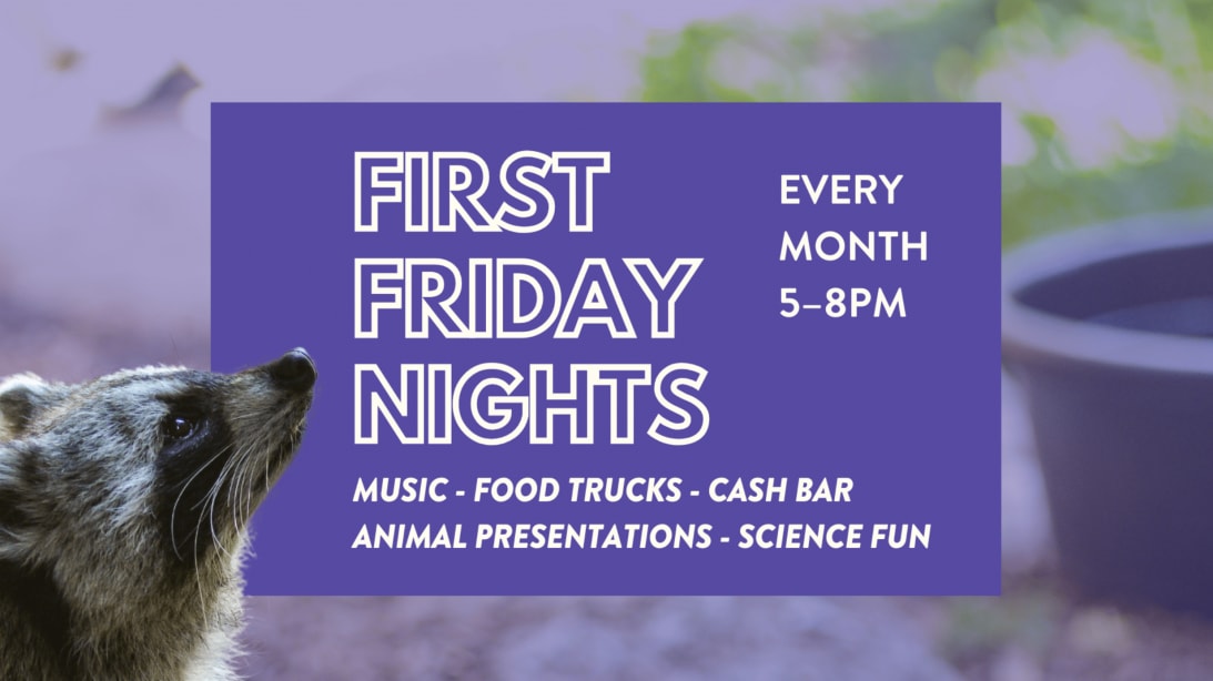 First Friday Nights at CuriOdyssey in San Mateo — Bay Area family event