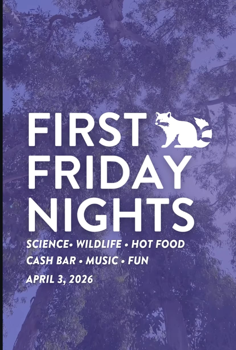 First Friday At CuriOdyssey in San Mateo — Bay Area family event
