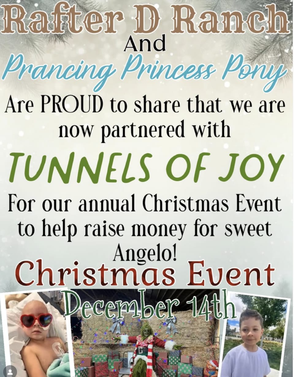 Rafter D Ranch / Prancing Princess Pony Christmas Event  in brentwood  — Bay Area family event