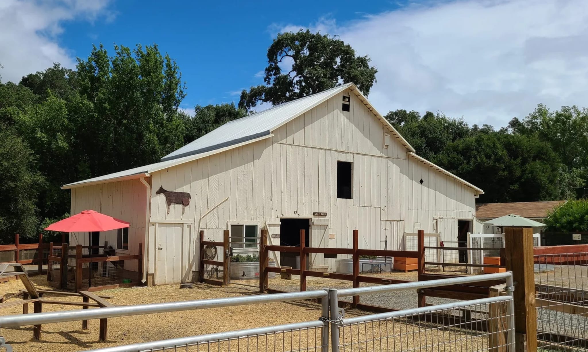 Spring Farm Tour at Deer Hollow Farm in Alameda — Bay Area family event