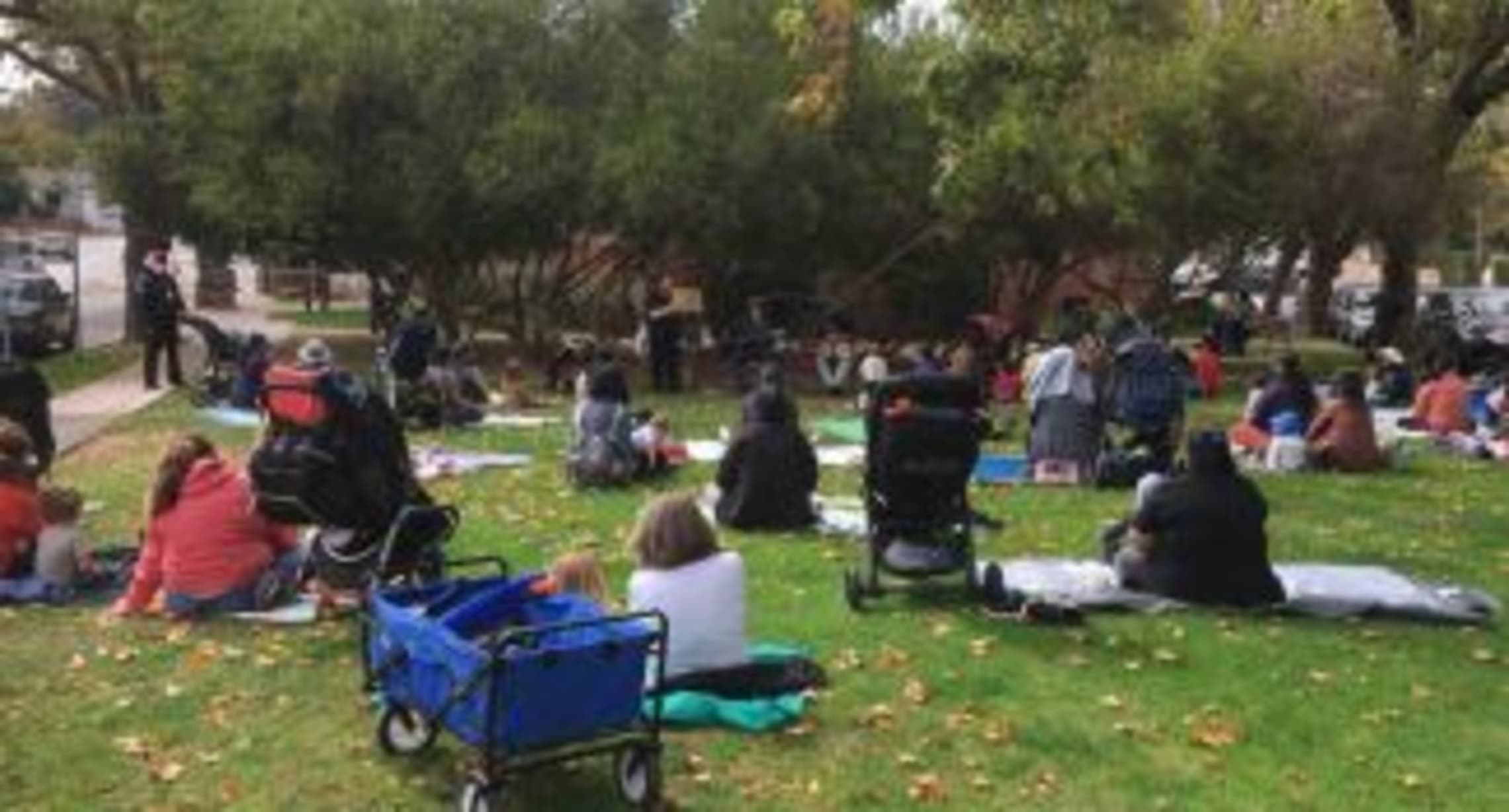 Storytime on the Lawn in Berkeley — Bay Area family event