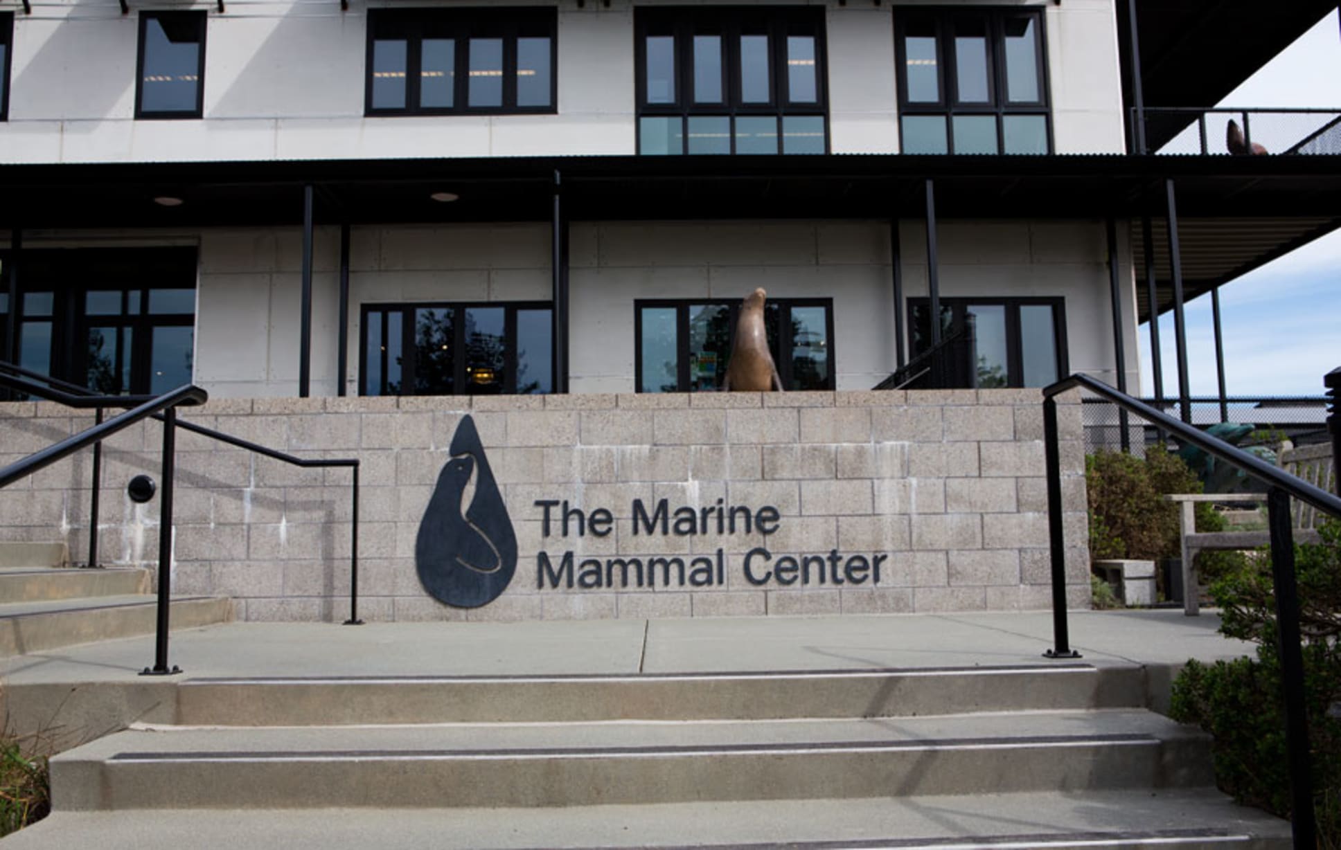 Marine Science Sunday in Alameda — Bay Area family event