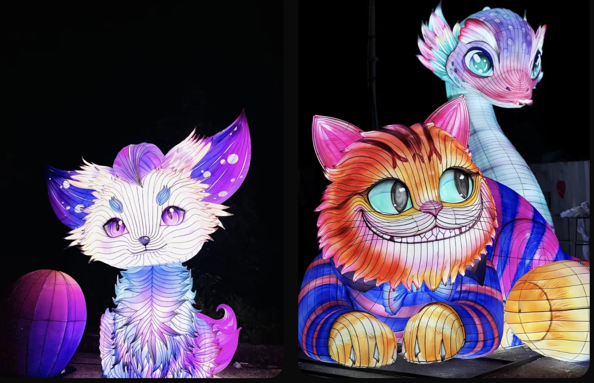 San Jose Holiday Lights **DISCOUNT CODE: JENINE10 **