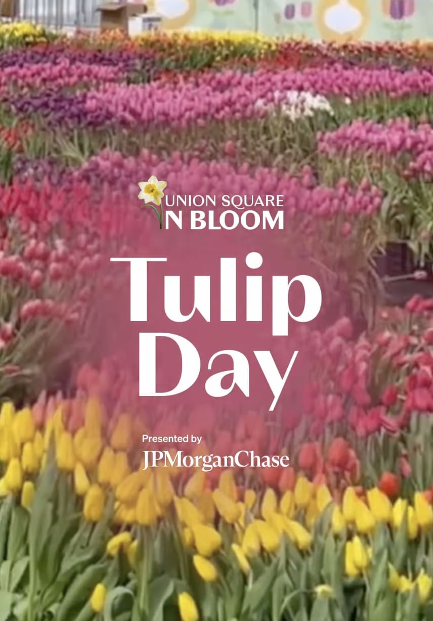 San Francisco Tulip Day  in San Francisco — Bay Area family event
