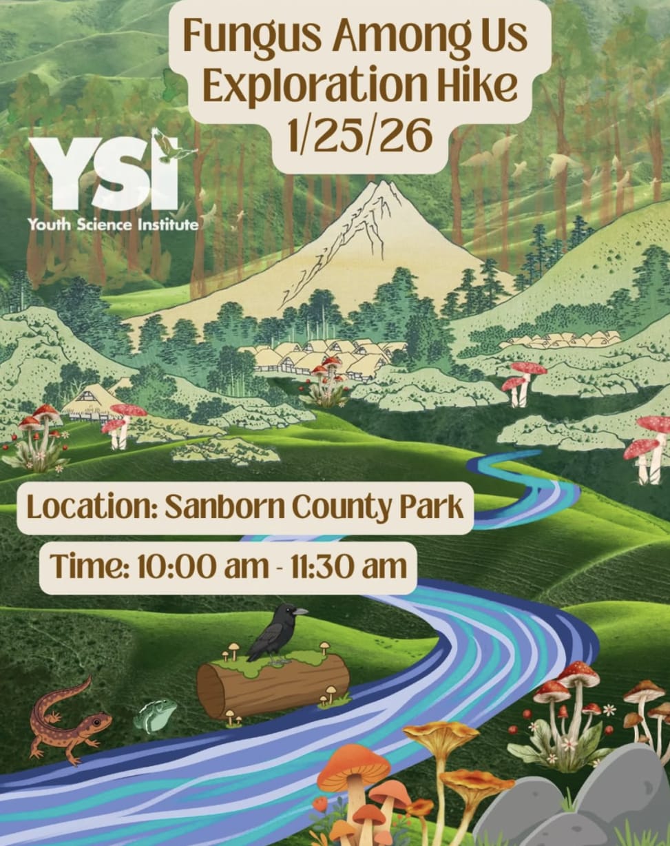 Fungus among Us at Sanborn Park in Saratoga — Bay Area family event