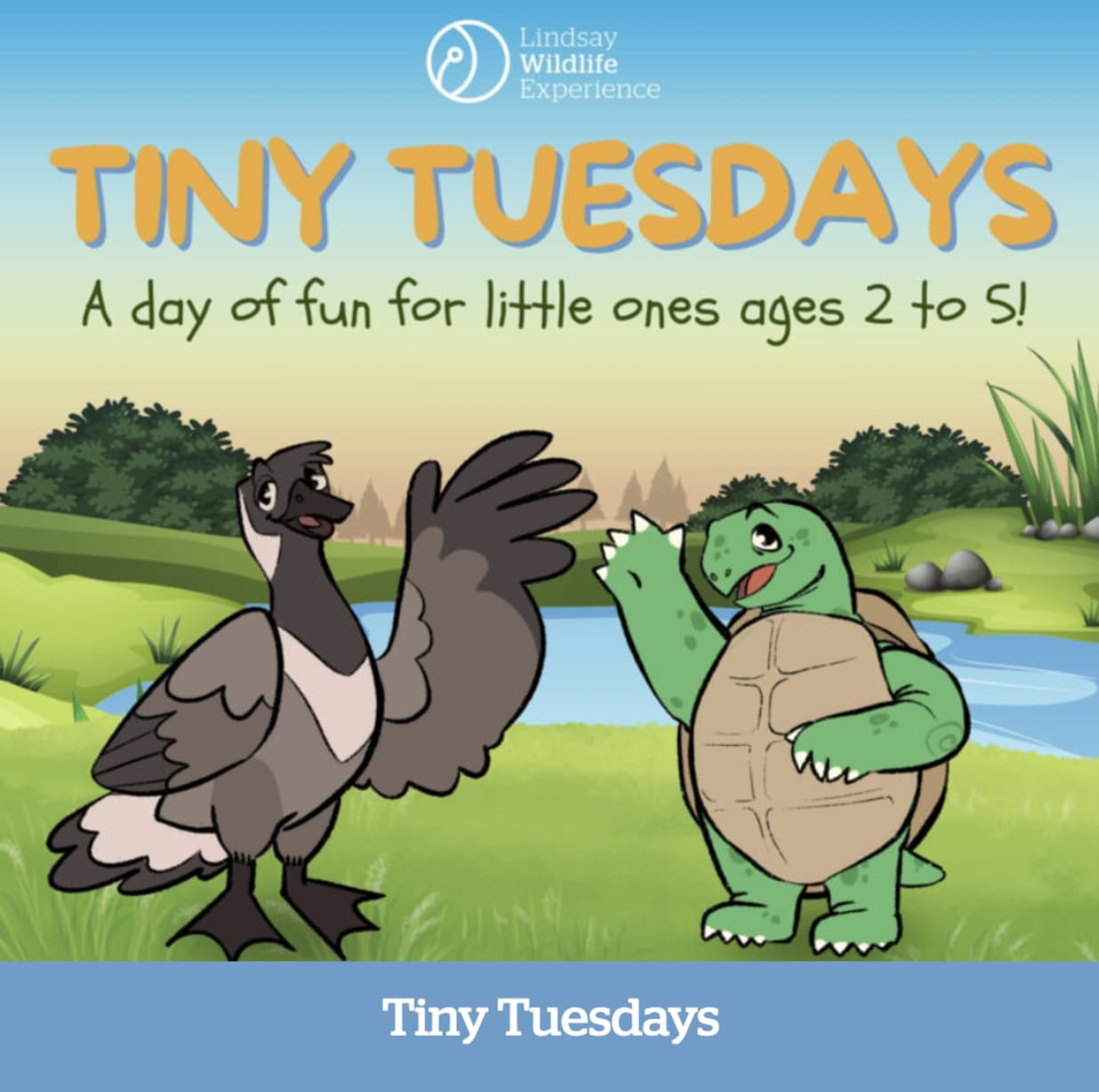 Tiny Tuesday: Be My Valentine! at Lindsay Wildlife in Walnut Creek  — Bay Area family event