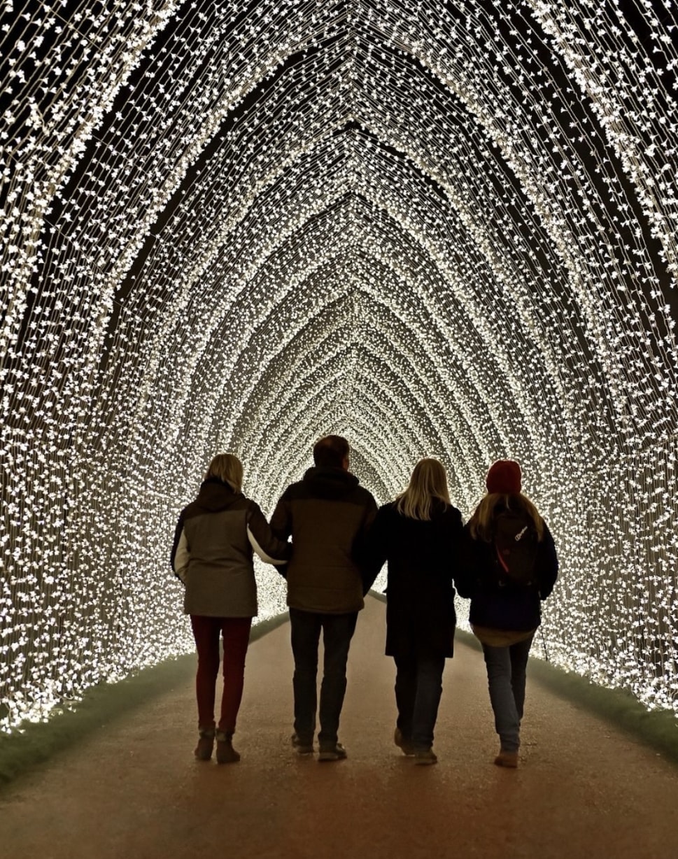 Lightscape at SF Botanical Gardens- 11/21 to 1/4