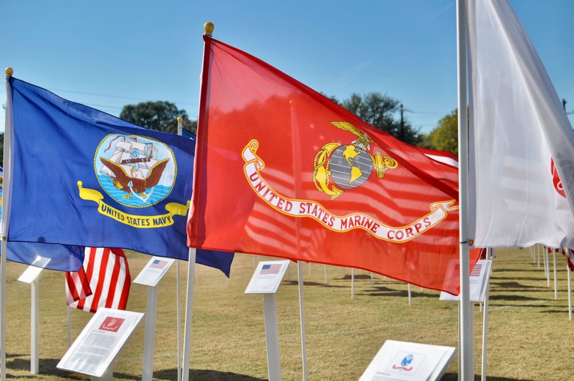 All Abilities Day in Alameda — Bay Area family event
