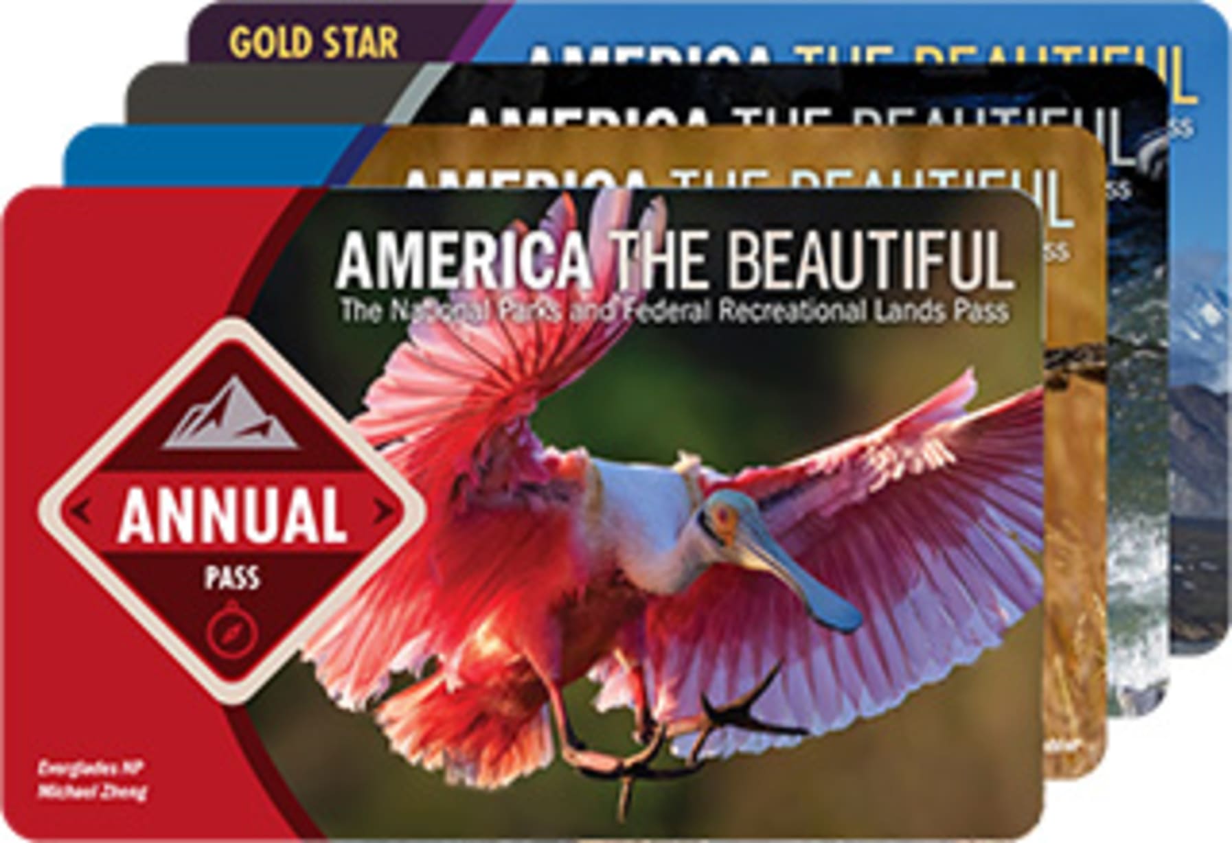 Free Entrance Day at National Parks in Mill Valley — Bay Area family event