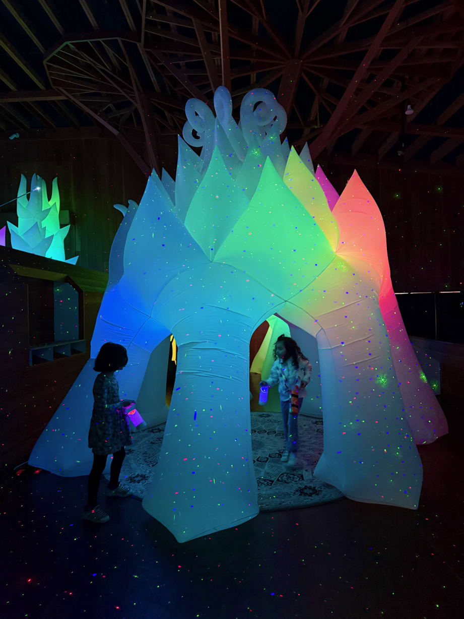 IlluminOdyssey at CuriOdyssey FINAL WEEKEND  in san mateo  — Bay Area family event