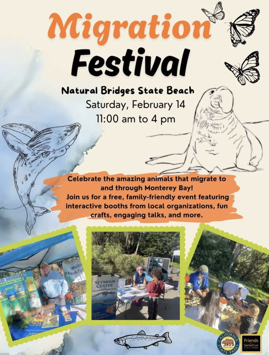 Migration Festival  in Santa Cruz  — Bay Area family event