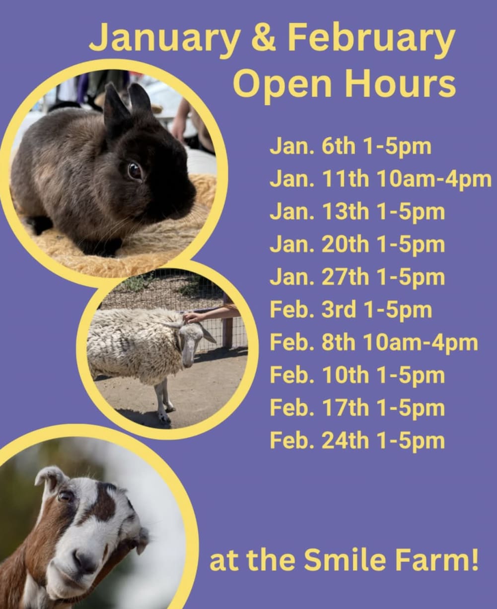 Open Hours at Animal Assisted Happiness Farm  in Sunnyvale — Bay Area family event