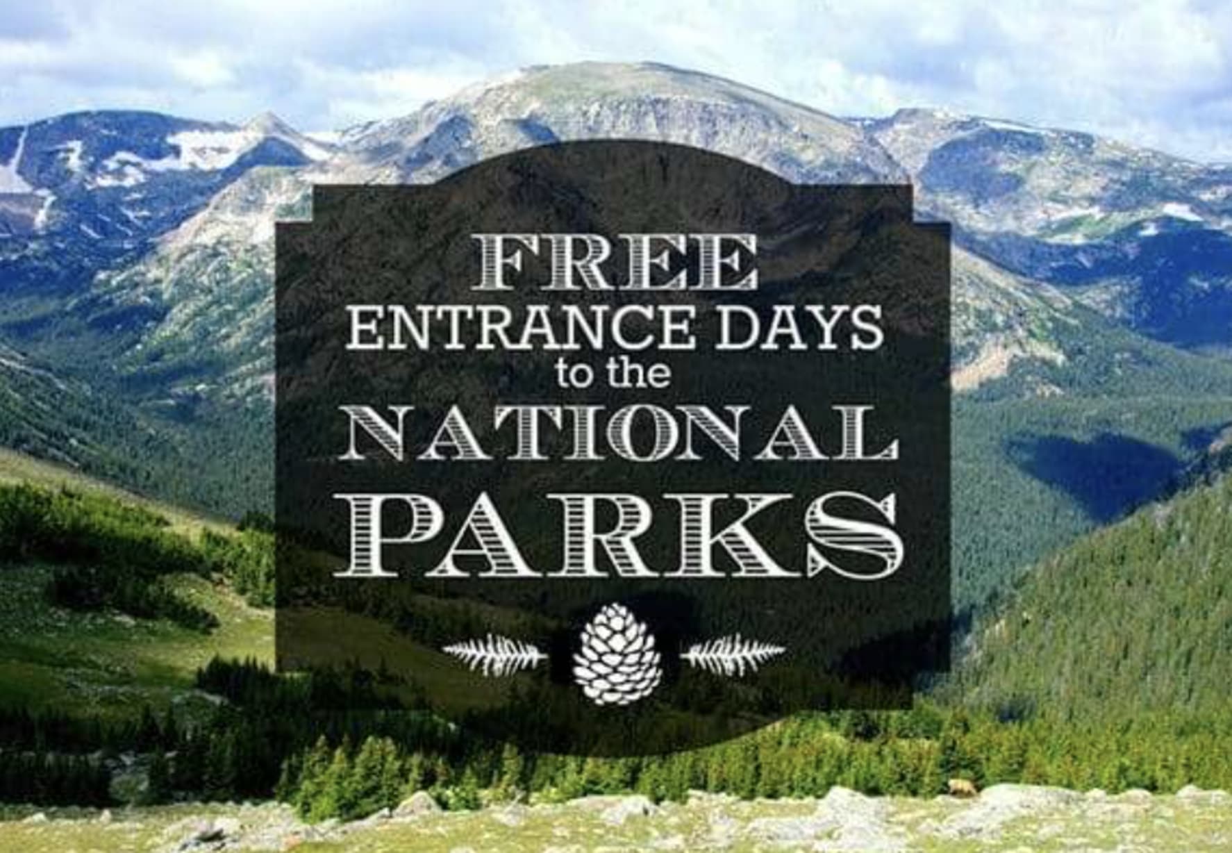 FREE Entry at National Parks (President's Day)  in Mill Valley — Bay Area family event