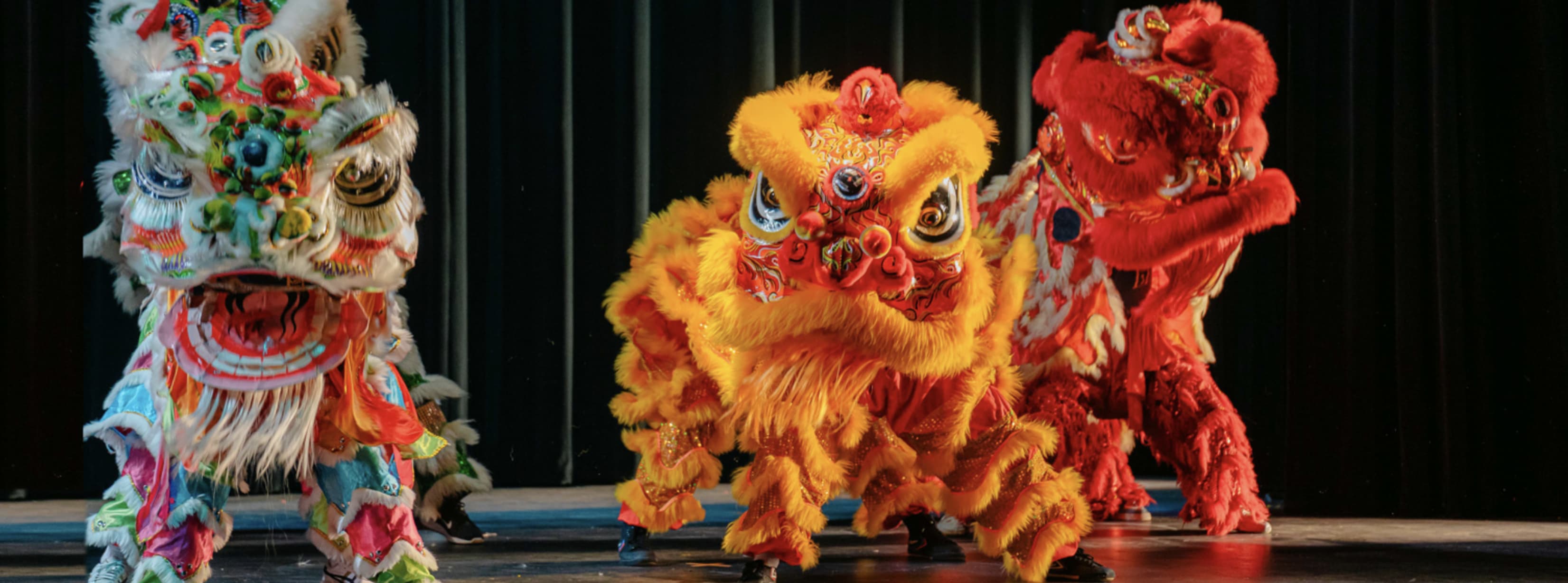 Lunar New Year Celebration: Lion Dancing  in San Francisco — Bay Area family event