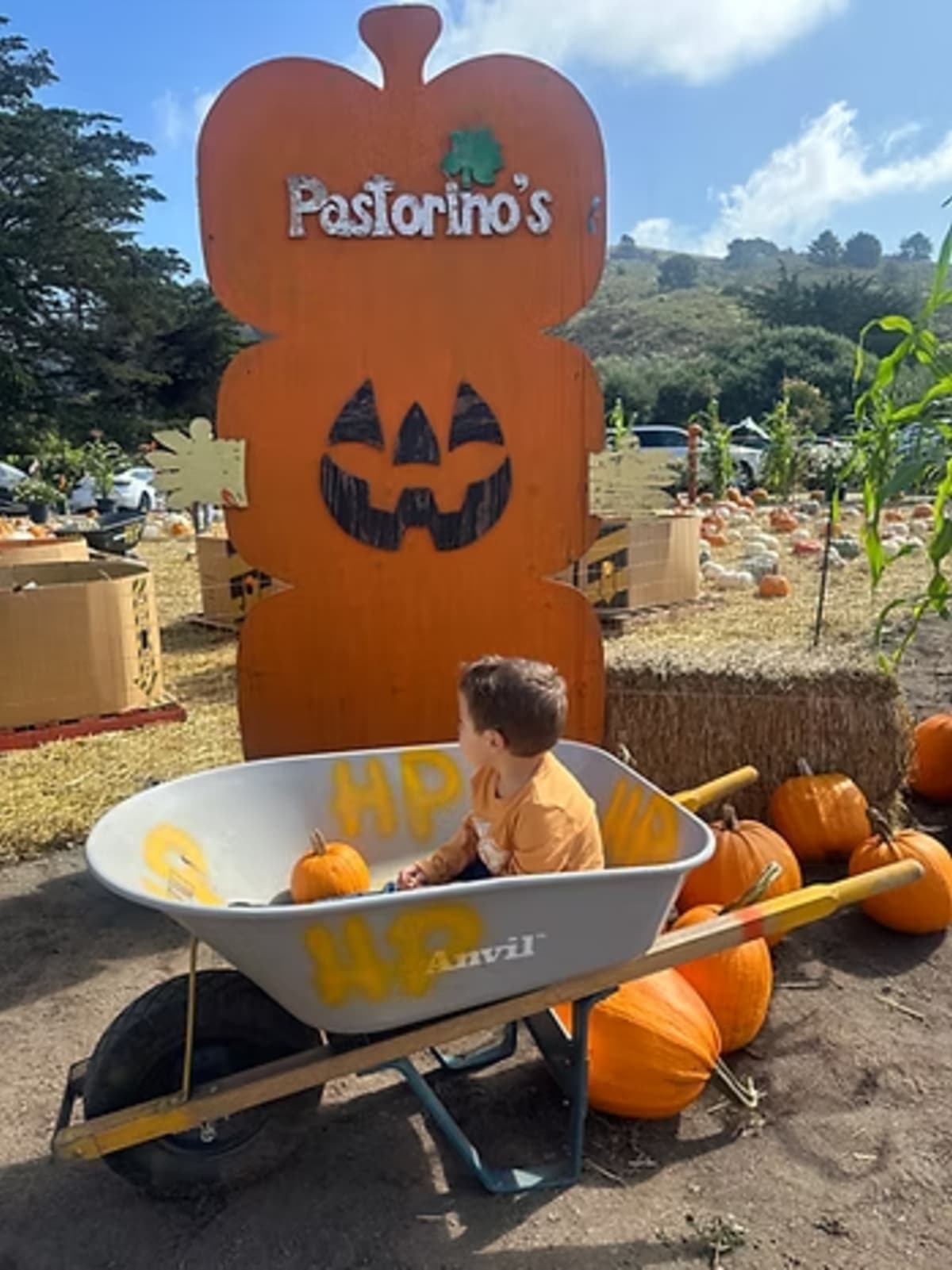 Boy in wheelbarrow with pumpkins