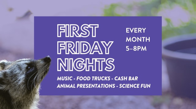 First Friday Nights at CuriOdyssey
