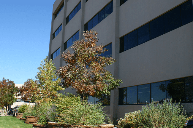 Main clinic image