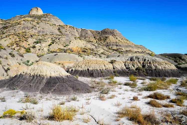 Hell Creek Formation: Shimoliy Amerikaning afsonaviy “dinozavrlar qabristoni” va 5 eng katta kashfiyot