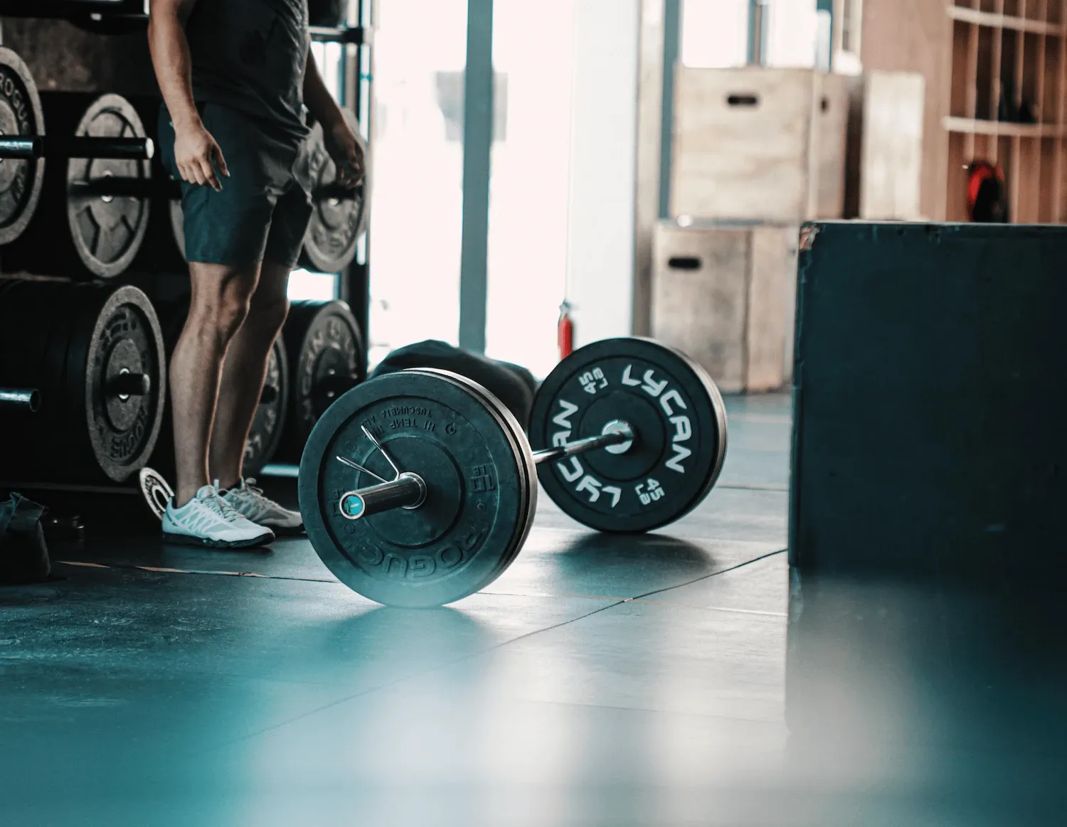 A importância da proteína para ganhar massa muscular - a base do processo de hipertrofia