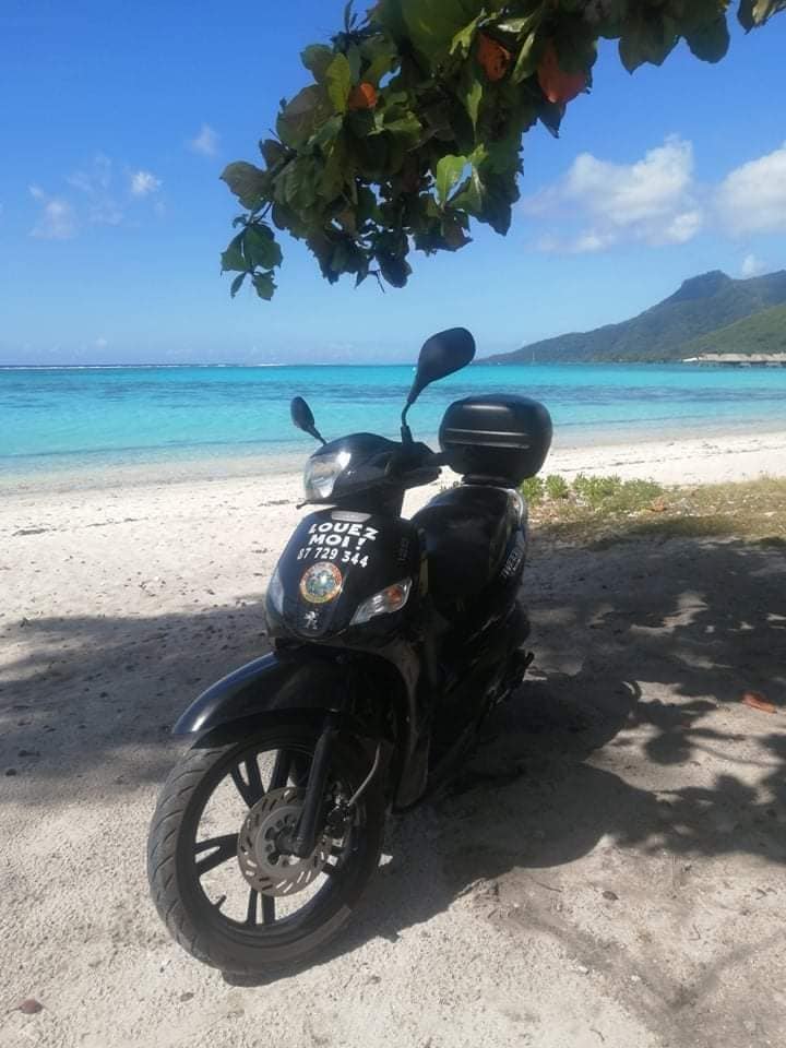Scooters électriques Moorea