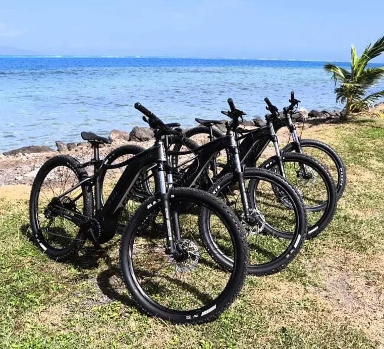 Vélos à assistance électrique Moorea