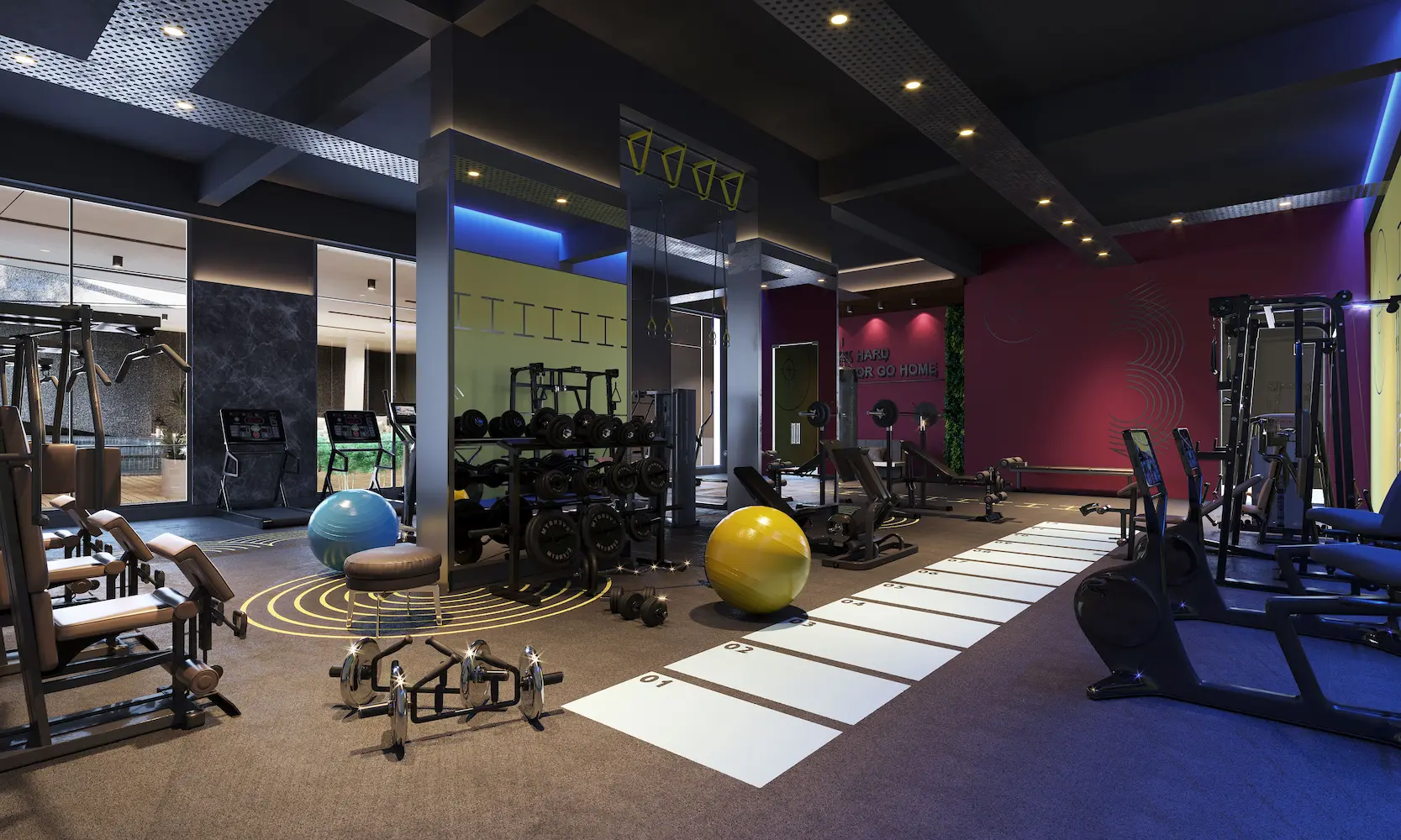 Salles de sport et coachs