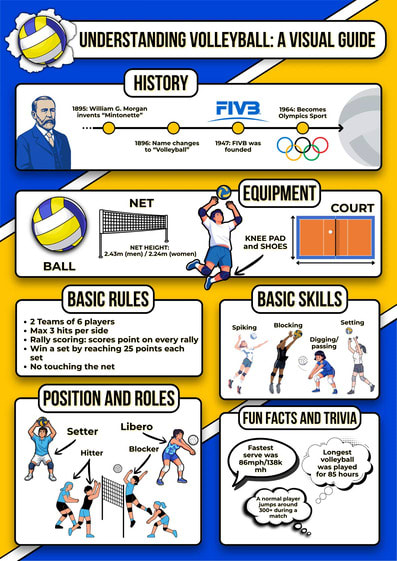 Volleyball Poster