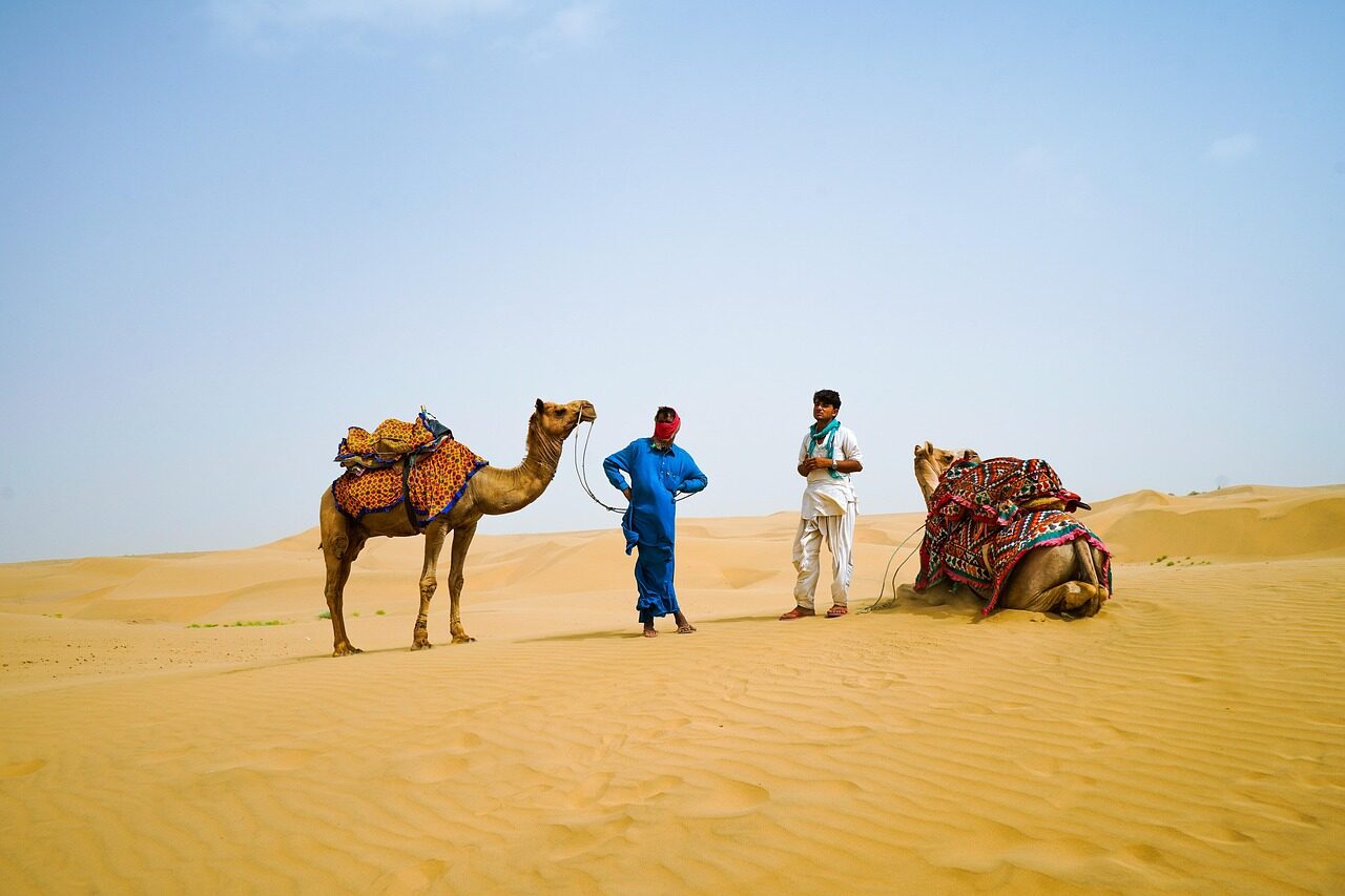 desert, camel, travel, transport, sand, dunes, nature, men, rajasthan, jaipur, india
