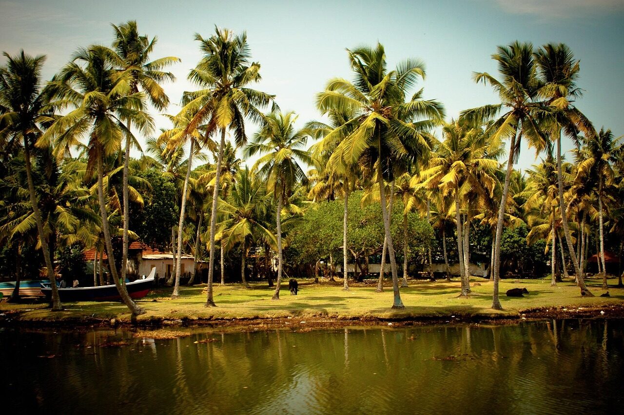 south india, backwaters, india, kerala, south india, kerala, kerala, kerala, kerala, kerala