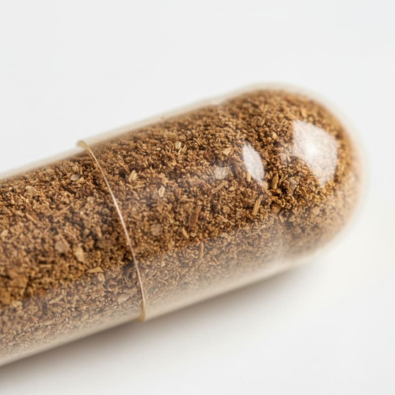 Clinical Research illustration 3