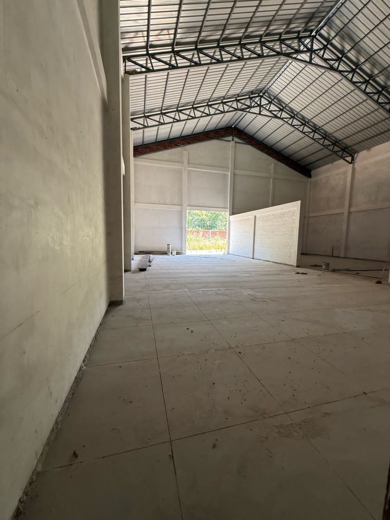IMPLEMENTACIÓN DE PLANTA PROCESADORA DE ALIMENTO BALANCEADO EN EL MUNICIPIO DE PALOS BLANCOS — 6