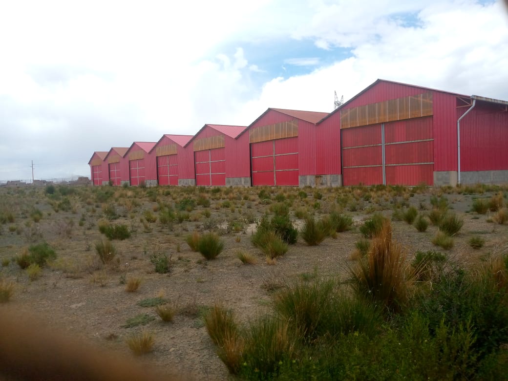 Imagen 2