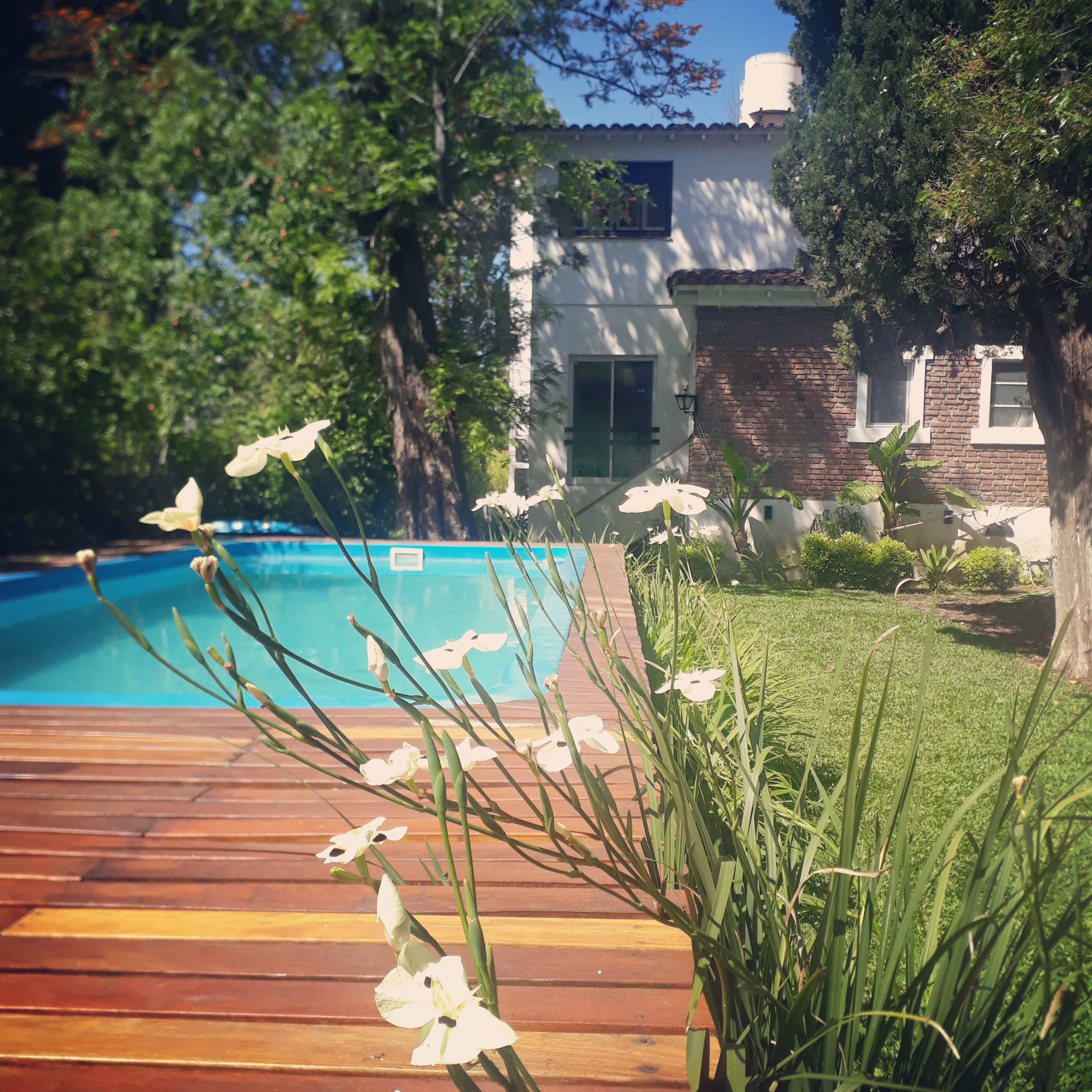 Pileta rodeada de plantas y vegetación verde en La Marea hotel Tigre - Hotel con pileta en entorno natural