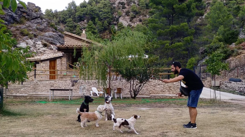 Zona pet friendly para familias y mascotas en el Chiringuito Parrizal de Beceite, ideal para niños