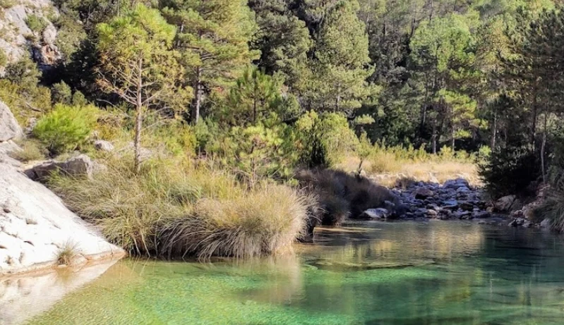 Agua turquesa y transparente entre vegetación autóctona en las Pozas de las Pesqueras, Beceite