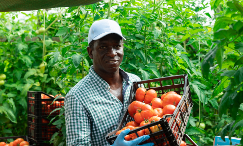 Agripreneurship